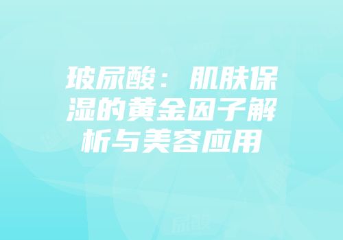 玻尿酸:肌肤保湿的黄金因子解析与美容应用