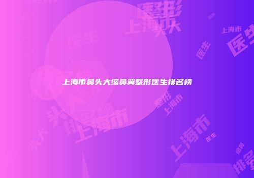 上海市鼻头大缩鼻翼整形医生排名榜