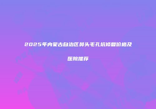 2025年内蒙古自治区鼻头毛孔坑修复价格及医院推荐