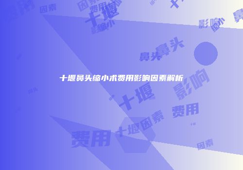 十堰鼻头缩小术费用影响因素解析