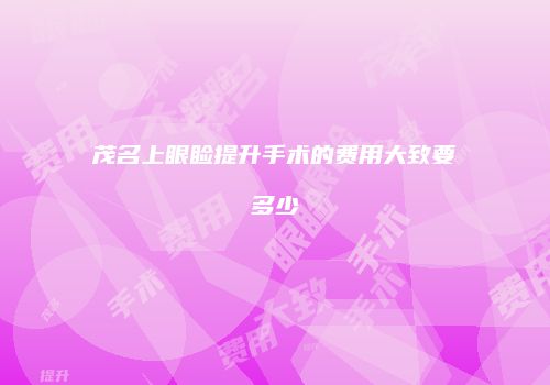 茂名上眼睑提升手术的费用大致要多少