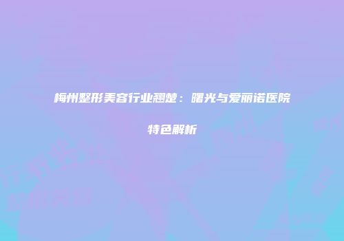 梅州整形美容行业翘楚:曙光与爱丽诺医院特色解析