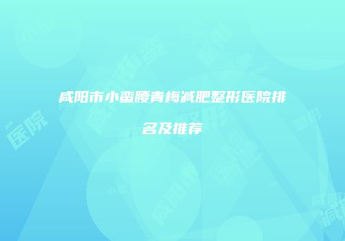 咸阳市小蛮腰青梅减肥整形医院排名及推荐
