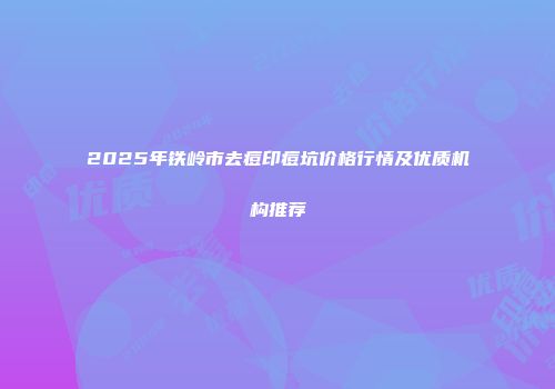 2025年铁岭市去痘印痘坑价格行情及优质机构推荐