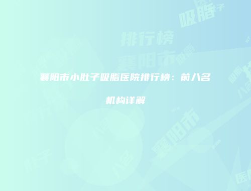襄阳市小肚子吸脂医院排行榜：前八名机构详解